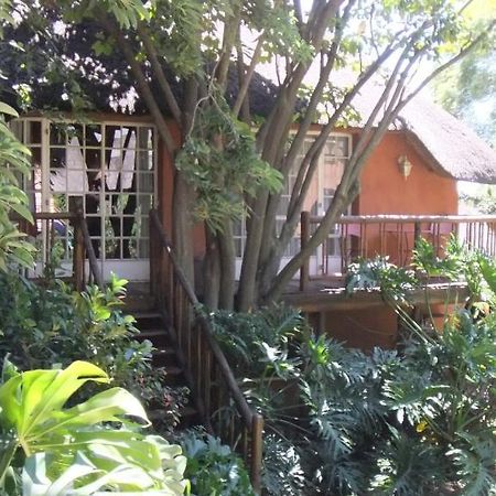 Treetops & Treats Guest House Pretoria-Noord Dış mekan fotoğraf
