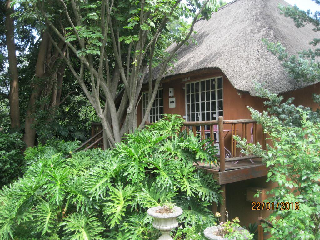 Treetops & Treats Guest House Pretoria-Noord Dış mekan fotoğraf