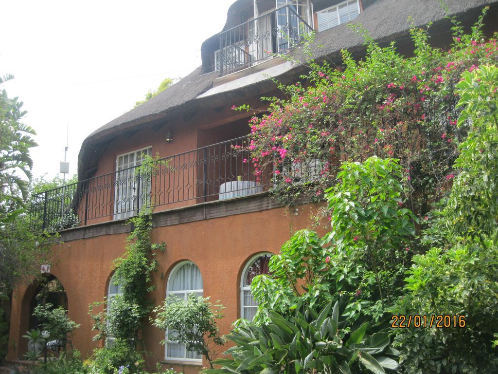 Treetops & Treats Guest House Pretoria-Noord Dış mekan fotoğraf
