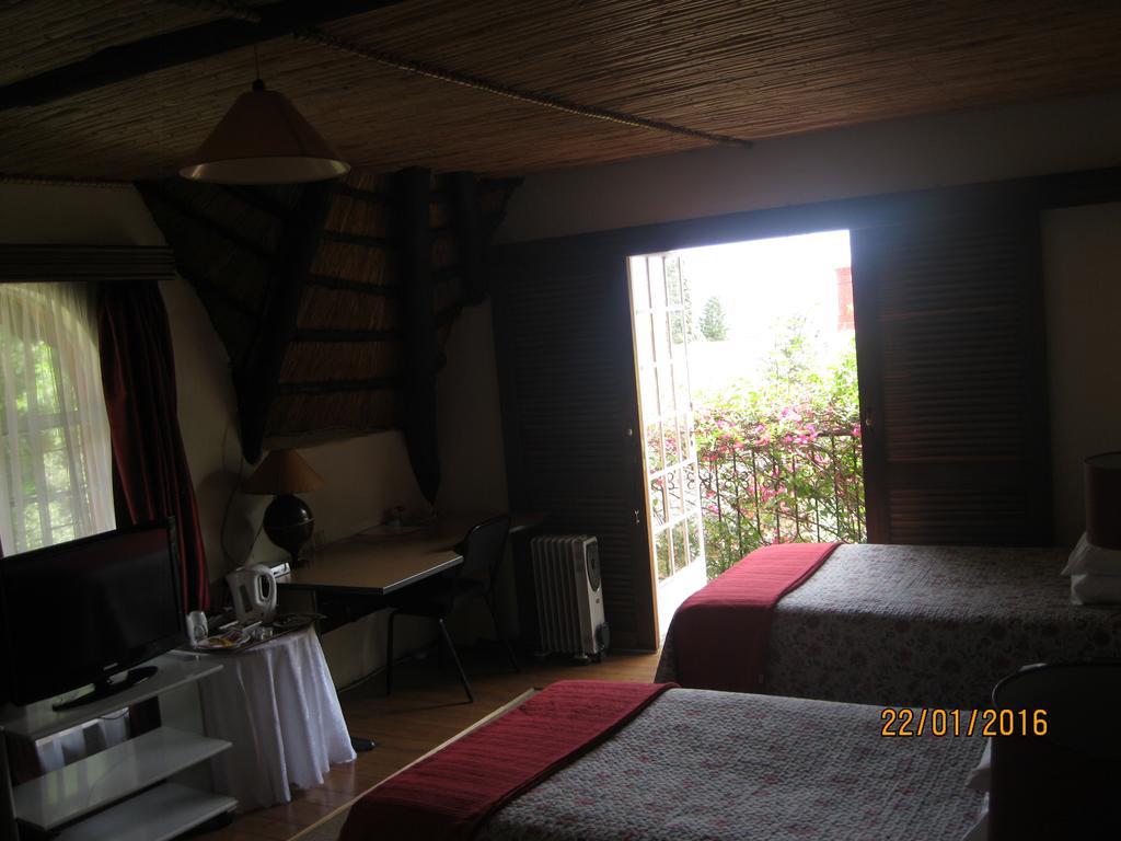 Treetops & Treats Guest House Pretoria-Noord Dış mekan fotoğraf