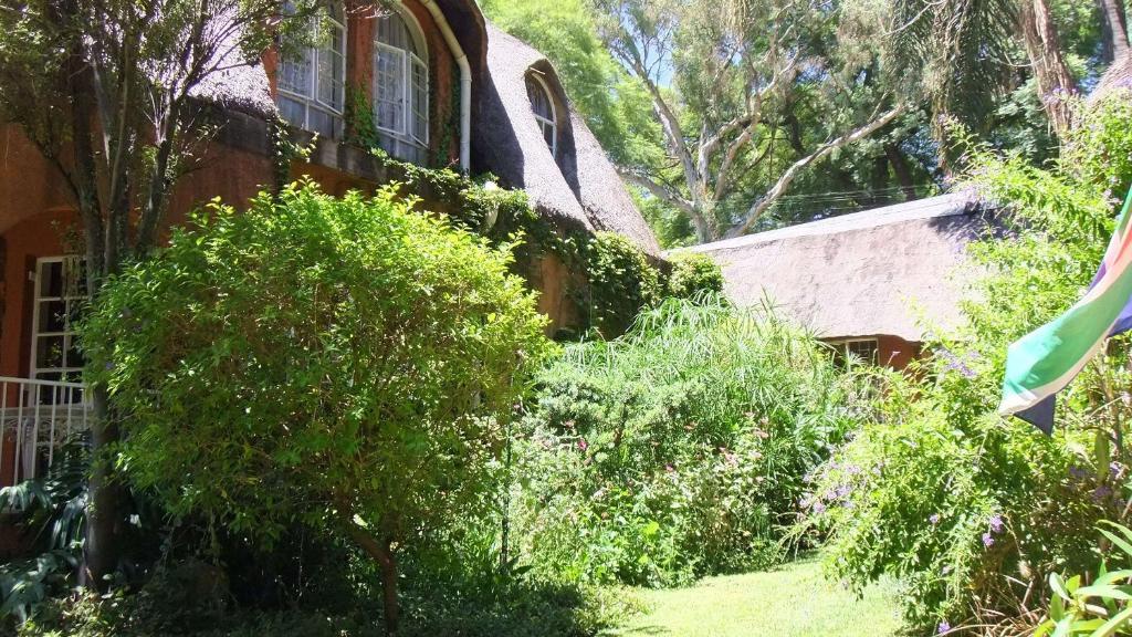 Treetops & Treats Guest House Pretoria-Noord Dış mekan fotoğraf
