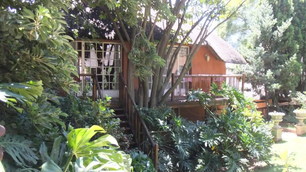 Treetops & Treats Guest House Pretoria-Noord Dış mekan fotoğraf