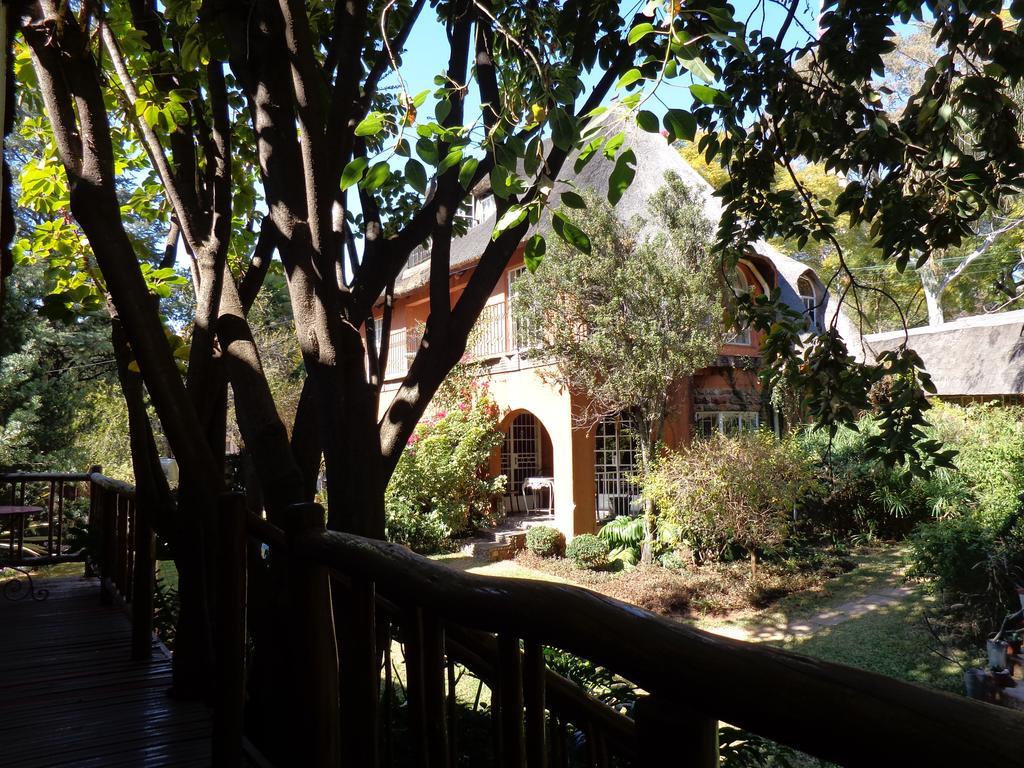 Treetops & Treats Guest House Pretoria-Noord Dış mekan fotoğraf
