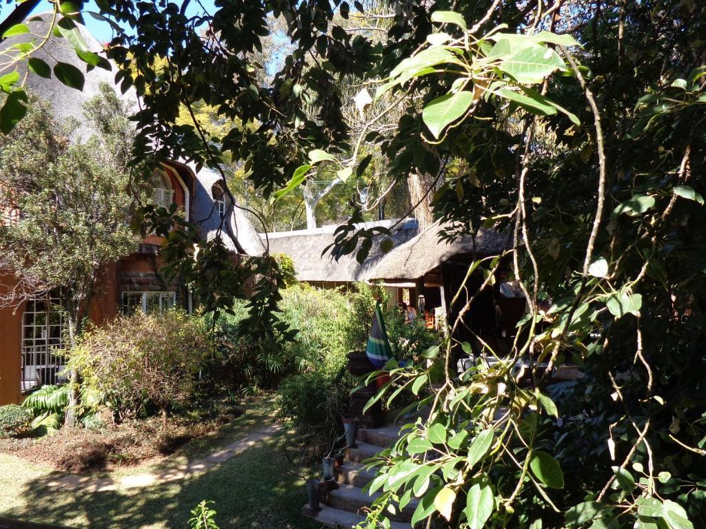 Treetops & Treats Guest House Pretoria-Noord Oda fotoğraf